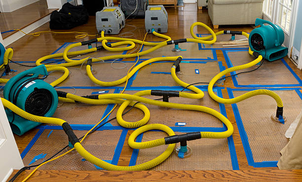 Professional Sewage Cleanup technician working in Meridian, PA